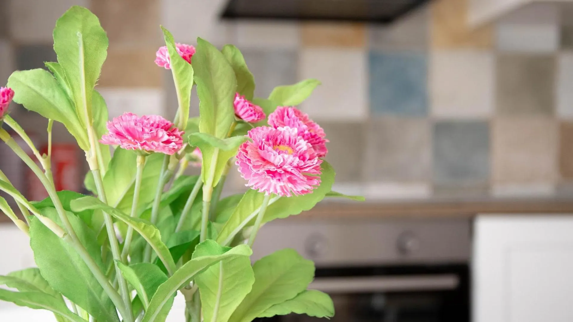 Apartamentos Rurales 콘일데라프론테라 아파트
